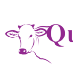 Qurbani