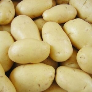 Premium white potato 5kg